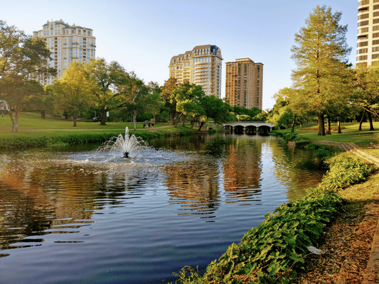 turtle creek_1